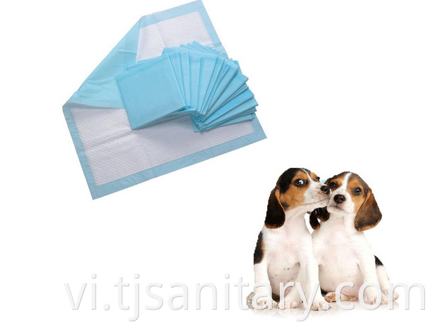 blue puppy pads